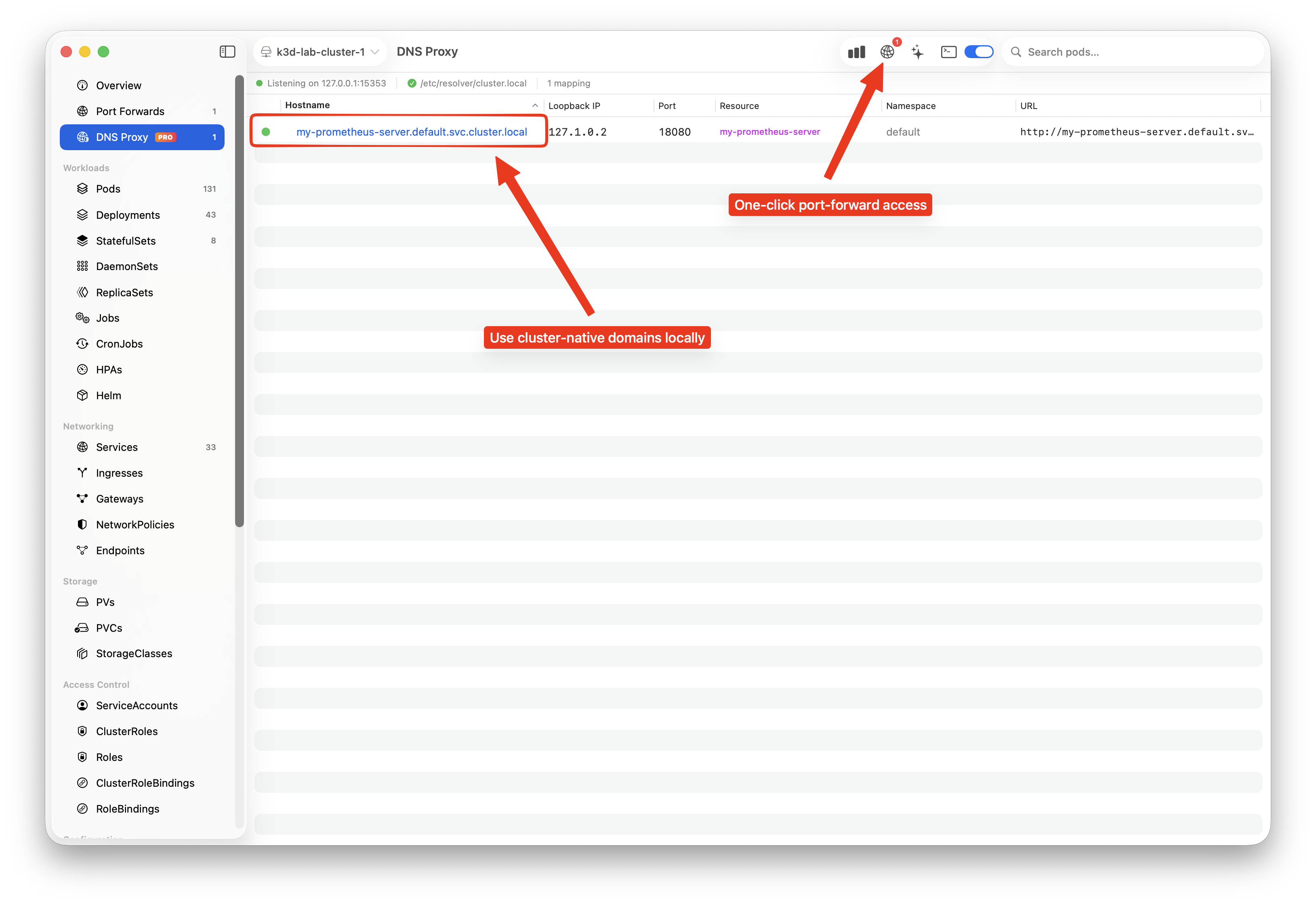 DNS Proxy mappings table showing cluster-local hostname, loopback IP, local port, and resource